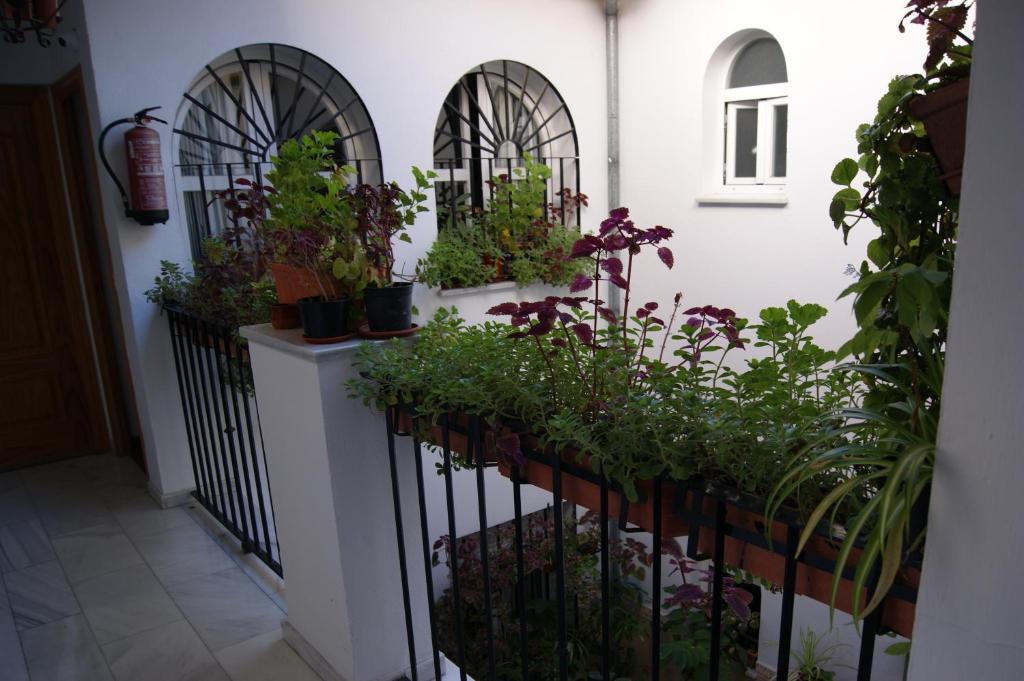 Hostal Alcazar I Cordoba Exterior photo